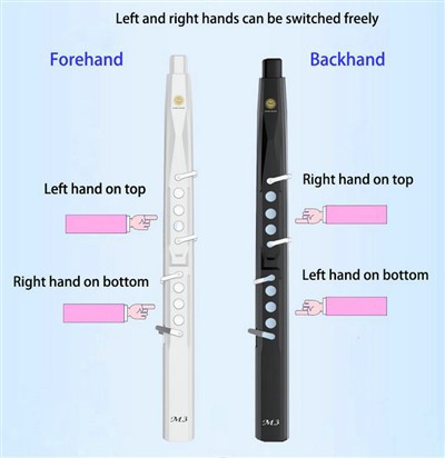 What built-in sounds do electric wind instruments usually have? What are the characteristics and application scenarios of these sounds?