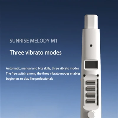Elektronische windcontroller Fisherman's Song At Dusk (渔舟唱晚) M1 elektronisch ...