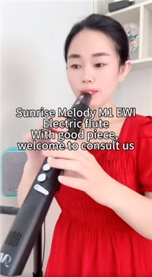 Houtblazersaxofoon Zonsopgang Melodie Muziek komt uit het leven