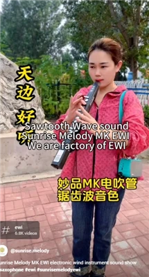 Sunrise Melody MK Ewi Saxofoons Muziek maakt deel uit van het leven