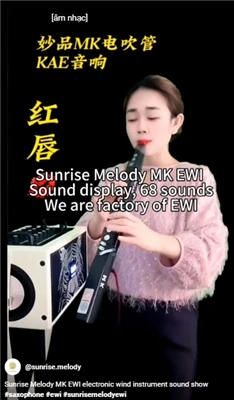 Sunrise Melody MK Houtblazers Aerophone-instrumenten Muziek maakt deel uit va...