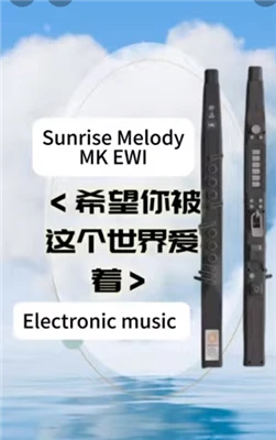 Sunrise Melody MK Windcontroller-instrument
