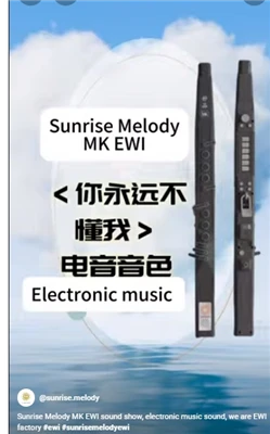 Sunrise Melody MK Digitaal fluitinstrument Elektronisch geluid